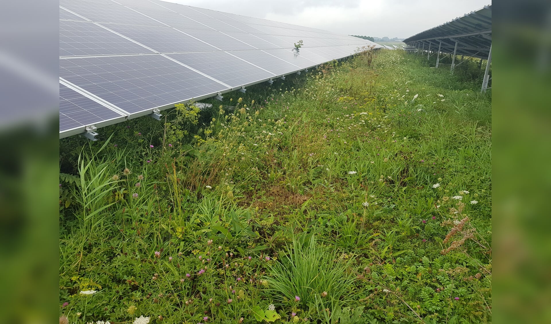 Wijk bij Duurstede wil in eerste instantie met zonnevelden bijdragen aan het bod van de Regionale Energie Strategie