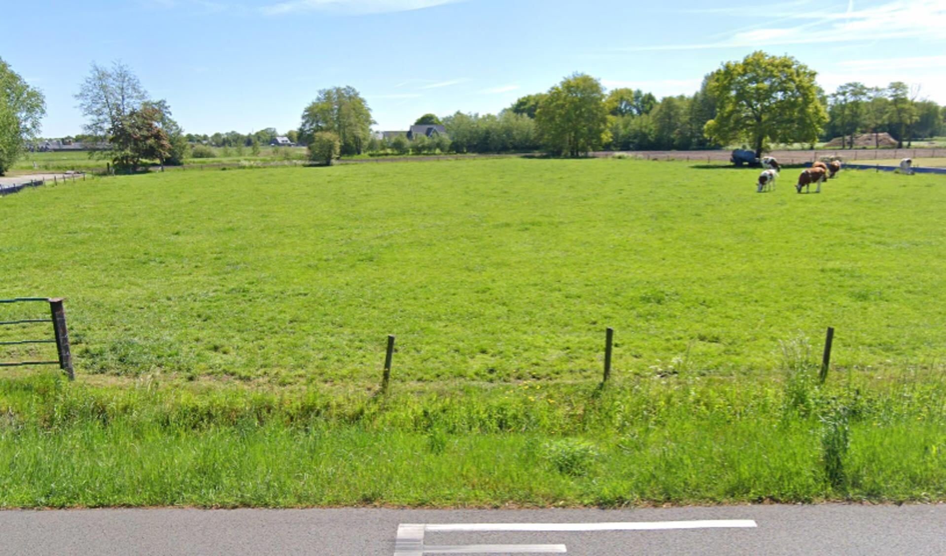 Beeld op het plangebied in de verte, gezien vanaf de Kootwijkerbroekerweg.