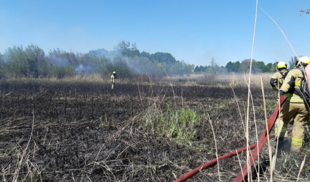 Brandweer Gorinchem is aanwezig bij een rietbrand in Spijk