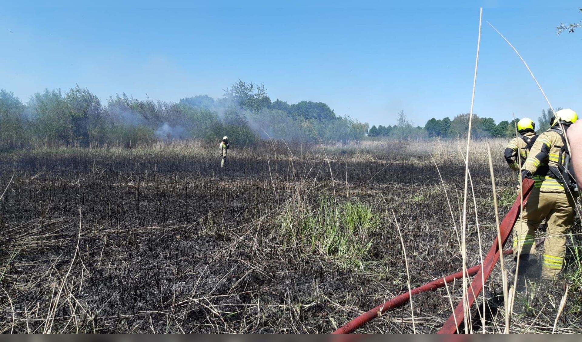 Brandweer Gorinchem is aanwezig bij een rietbrand in Spijk 