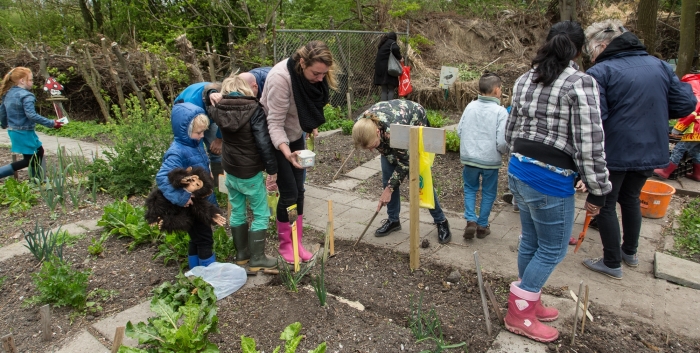 Kinderen zaaien in hun tuintje