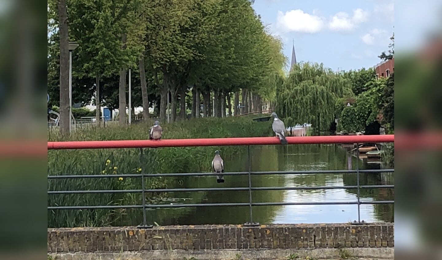 Afbeelding