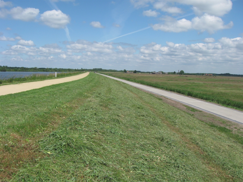 De Zeedijk is volledig gemaaid op het stuk tussen de gemeentegrens Nijkerk/Putten en het Putter gemaal.