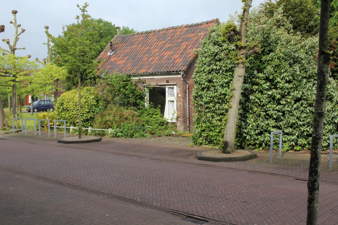 Ton Dijkstra