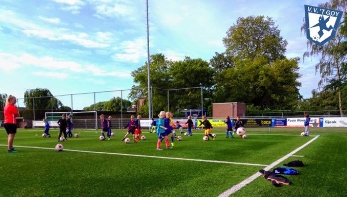 Training Mini's