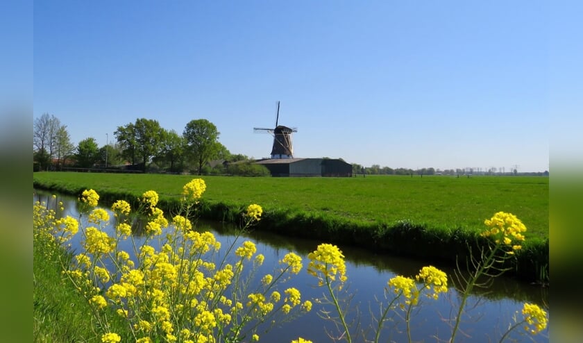 (Koren)Molen de Kraai (1839) bij Westbroek