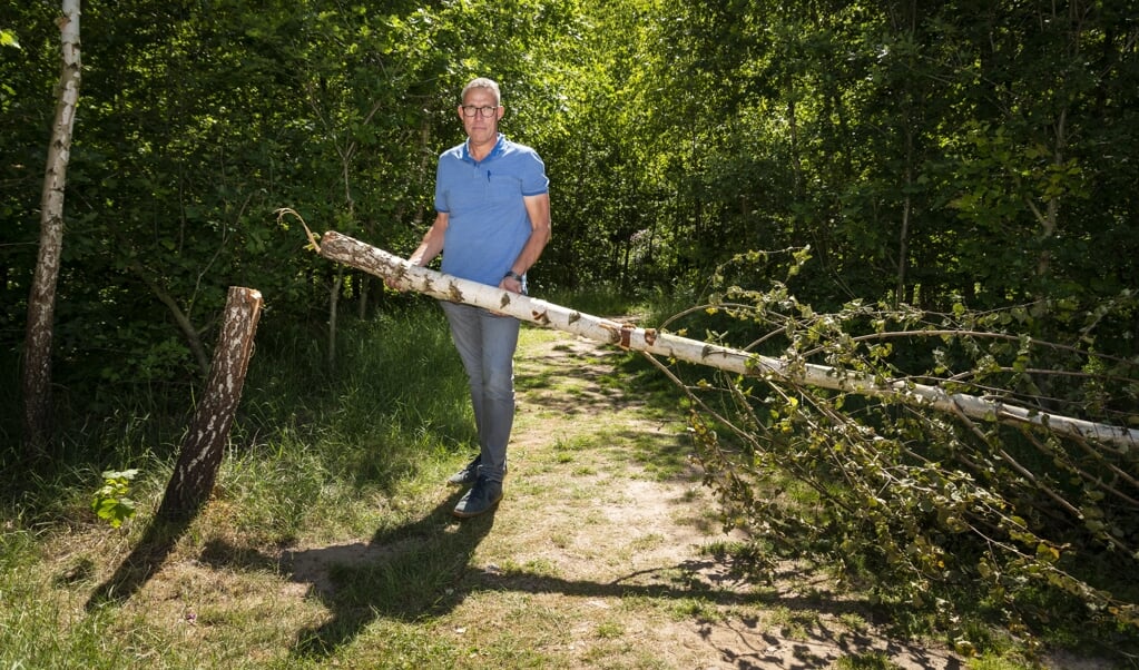 Groenexpert Johan Ossendrijver kan er met zijn hoofd niet bij dat iemand moedwillig boompjes omzaagt.