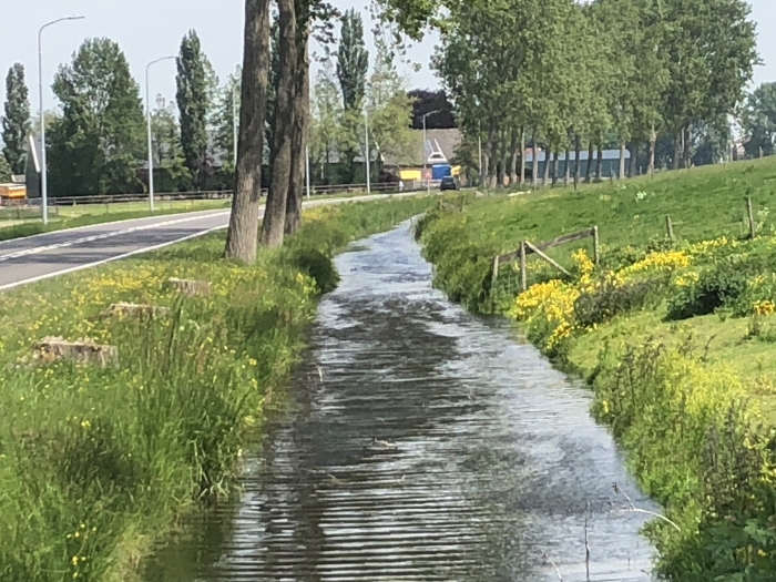 Noordenwind tekent zi