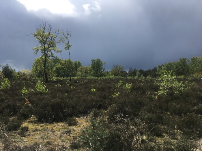 Leusderheide Leusden