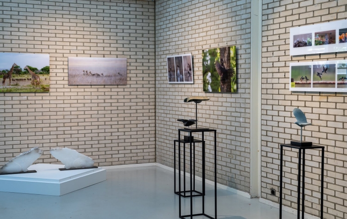 Expositie Natuur in Rietveldpaviljoen