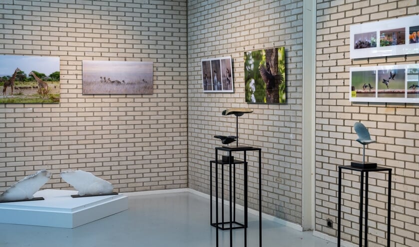 Expositie Natuur in Rietveldpaviljoen