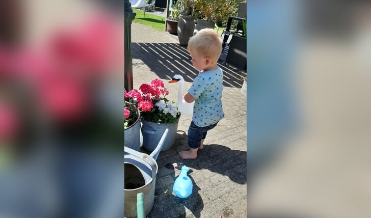 Op deze foto is mijn kleinzoon bezig met zijn  liefste bezigheid, op blote voeten planten water geven bij oma in de tuin.