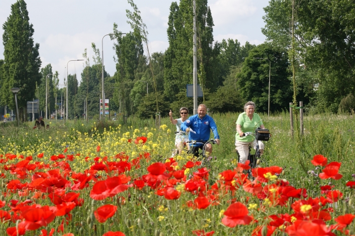 Foto uit het Dorpentocht archief