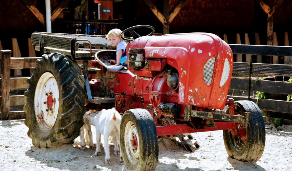 Op de Geitenboerderij mogen kinderen op de trekker, maar ouders  niet. 