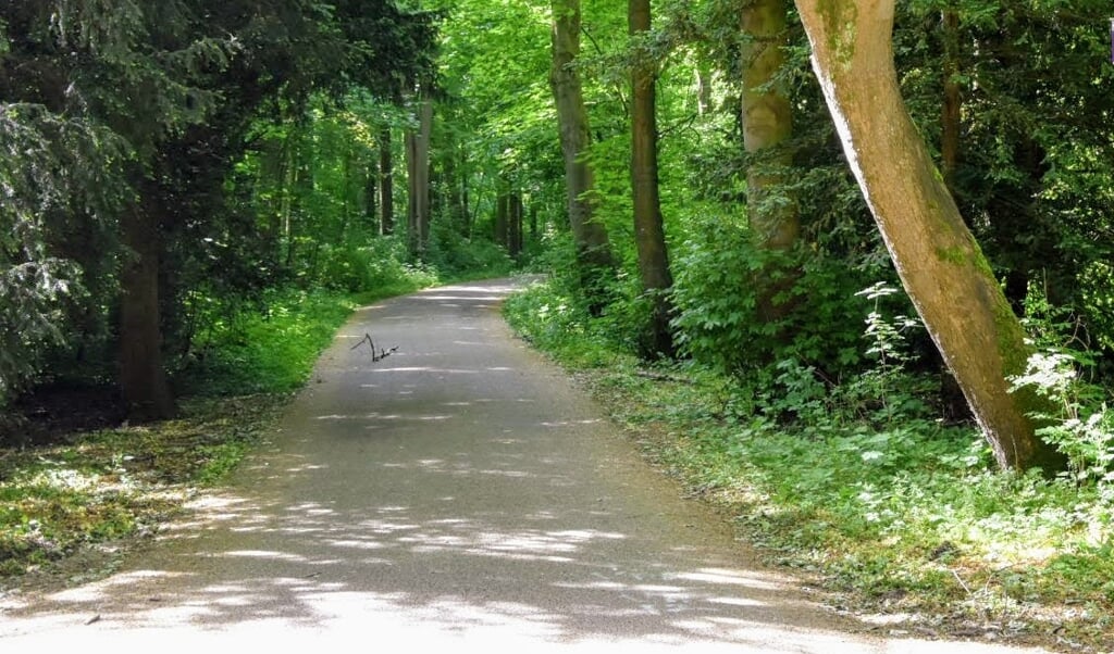 In verband met werkzaamheden worden diverse paden in een deel van het Amsterdamse Bos afgesloten.