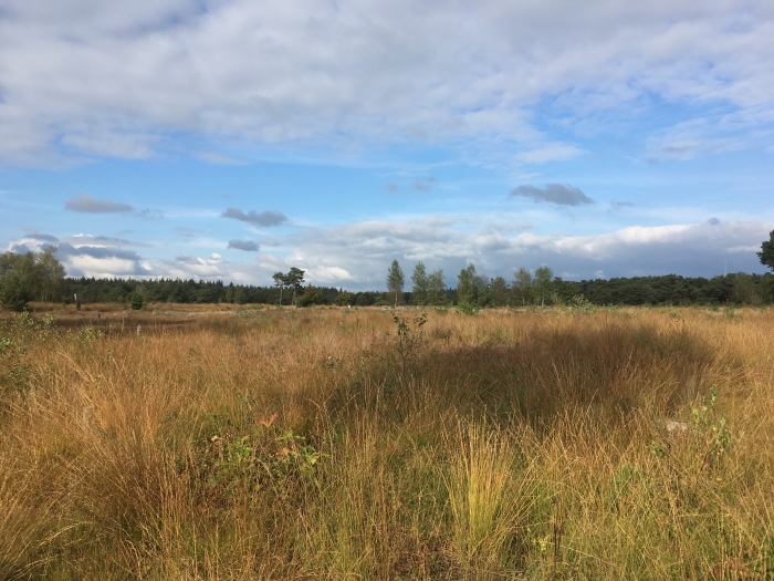 Landgoed Den Treek