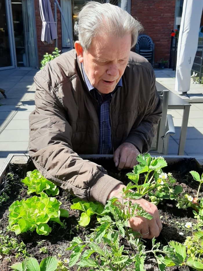 Bewoner de heer C. van der Lee aan het werk in de moestuinbak.