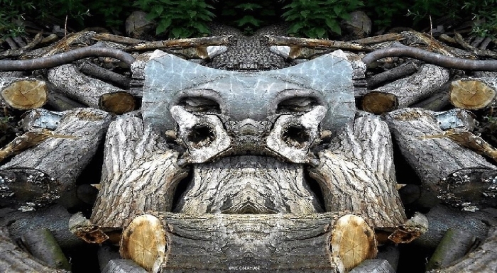 Owl Creature