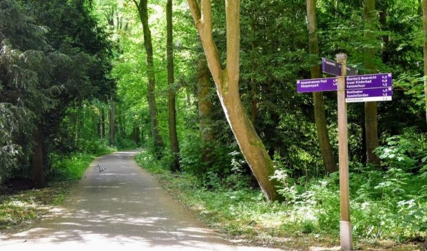 <p>Het Amsterdamse Bos.</p>