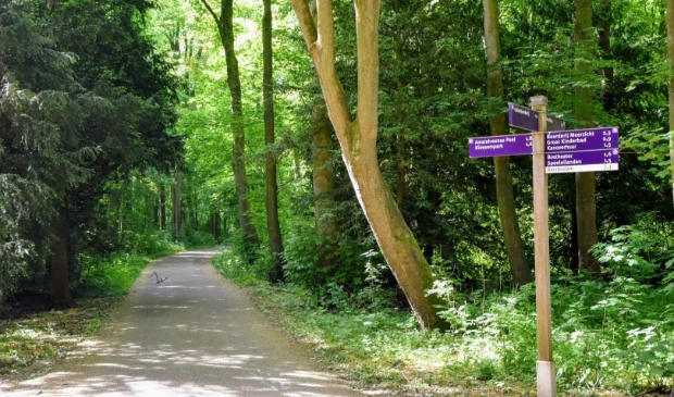 <p>Het Amsterdamse Bos.</p>