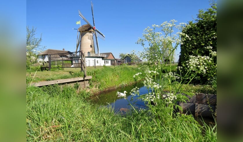 (Stelling-)molen Geesina (1843) bij Groenekan.