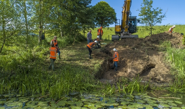 dinsdag 19 mei groef Waterschap Rivierenland in de Waaldijk nabij Dodewaard enkele gangen uit van een bever. Voor ingrepen als deze moet het nieuwe beverprotocol gaan gelden.