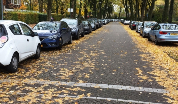 De pakeerdrukte rondom Rhijnhaege