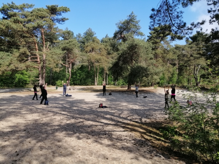 Bewegingsreeksen tijdens Mind-Walk