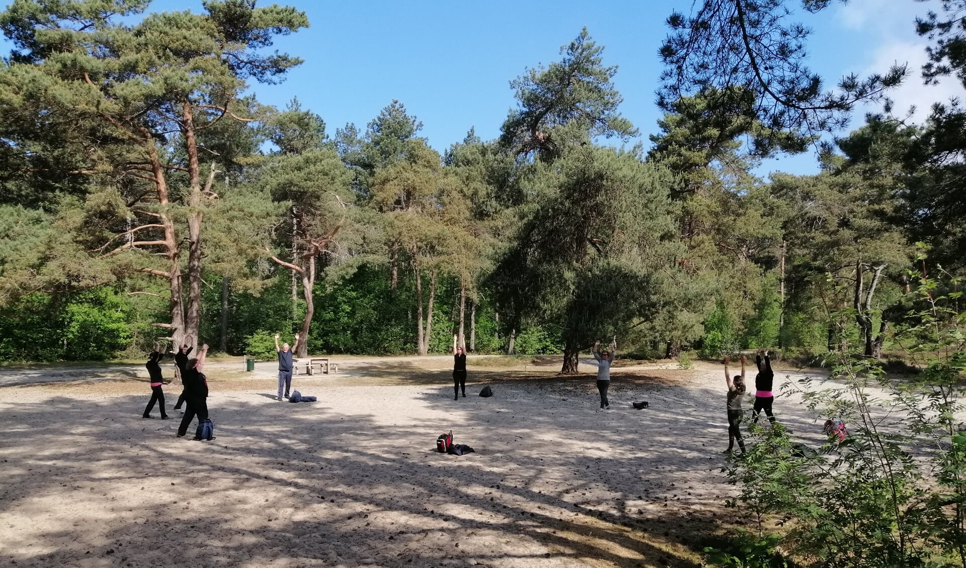 Bewegingsreeksen tijdens Mind-Walk