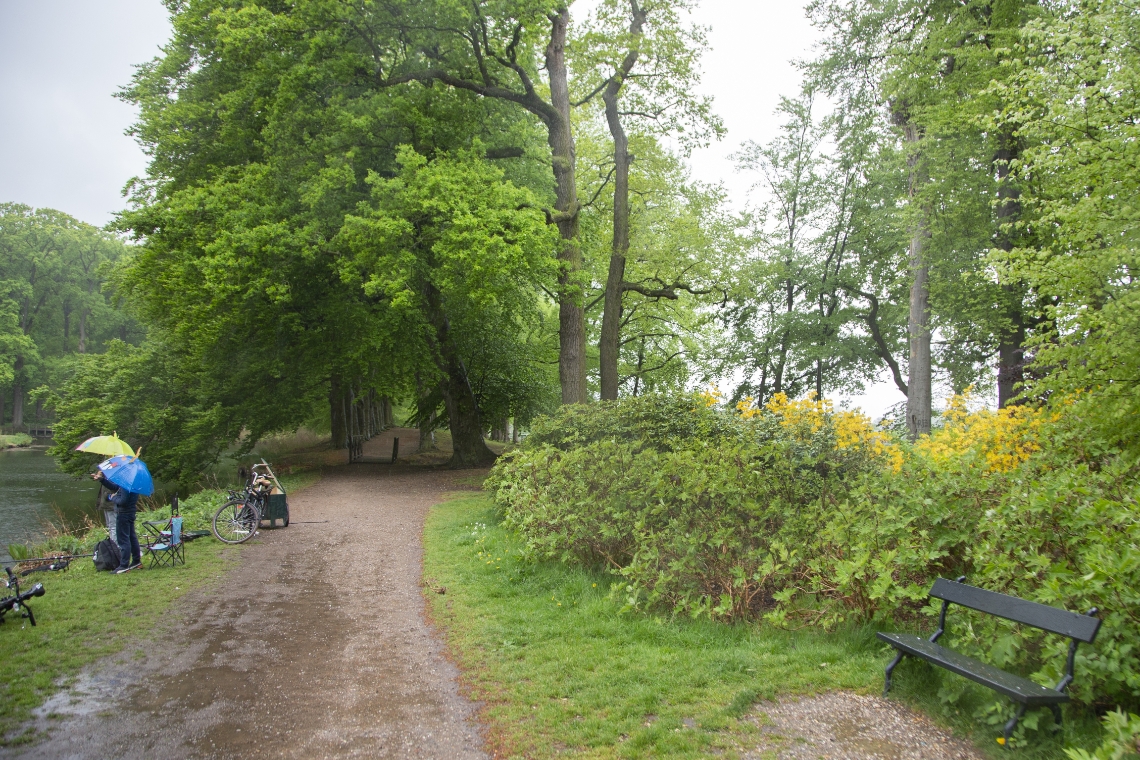 Erik van 't Land