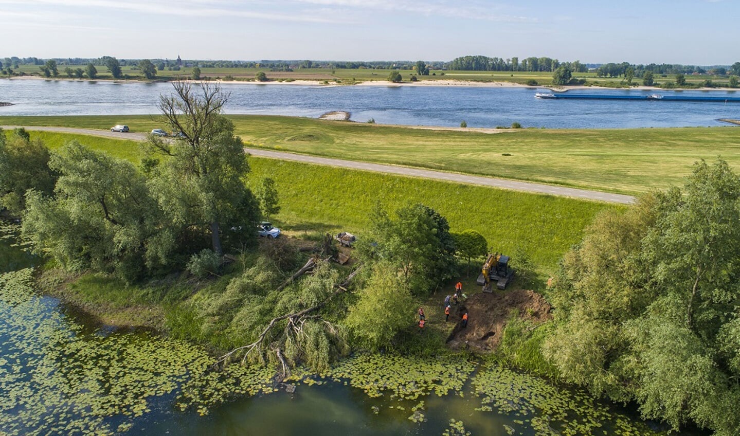 dinsdag 19 mei groef Waterschap Rivierenland in de Waaldijk nabij Dodewaard enkele gangen uit van een bever. Voor ingrepen als deze moet het nieuwe beverprotocol gaan gelden.