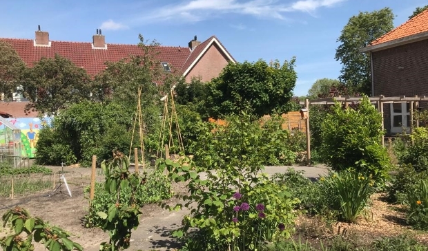 De Buurttuin in mei.