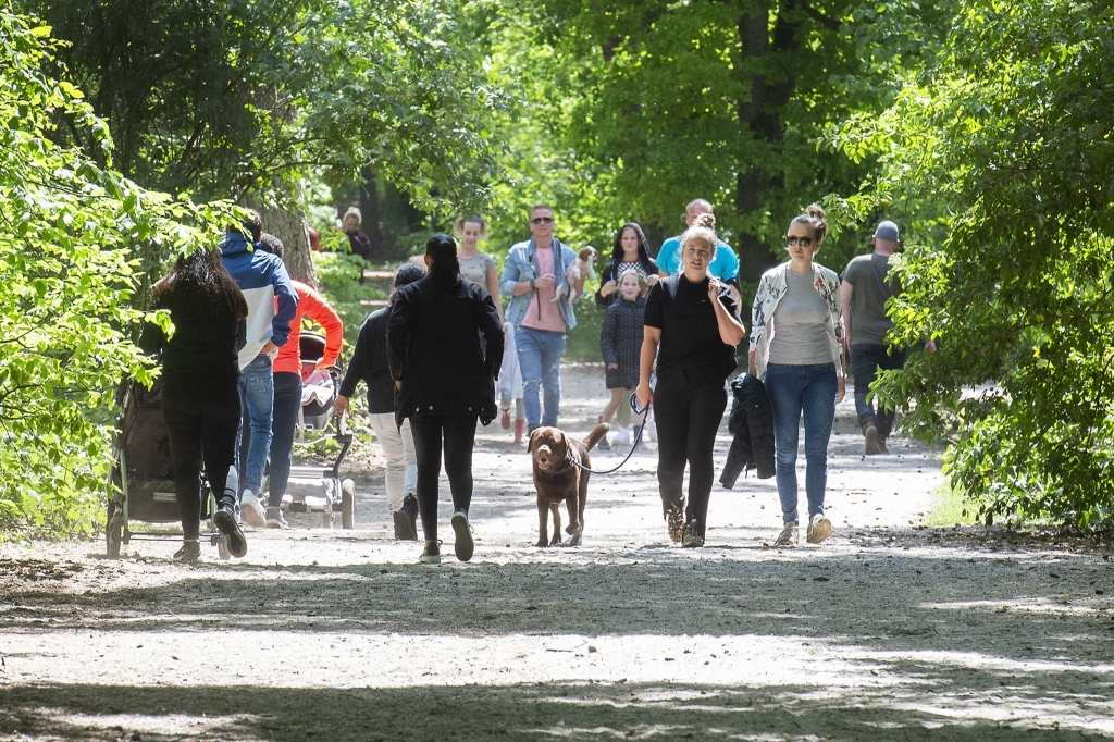 <p>Wandelen in bos Birkhoven in mei dit jaar.</p>
