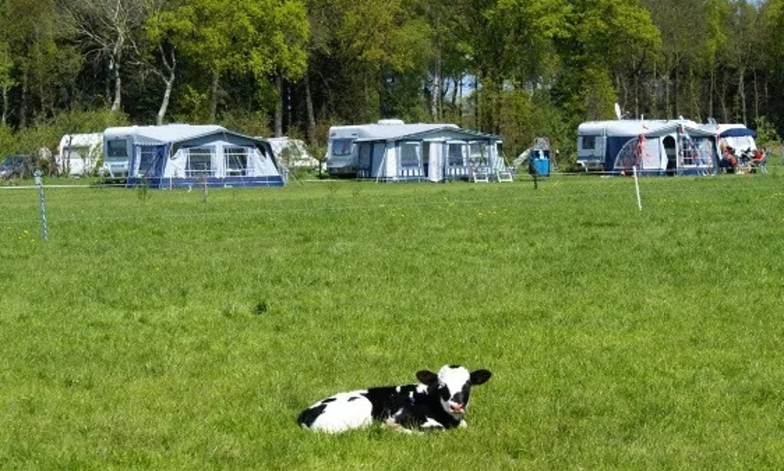 Camping Nieuw Hof