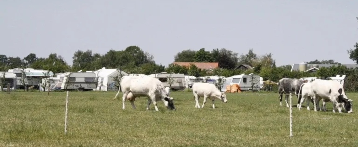 Camping Nieuw Hof