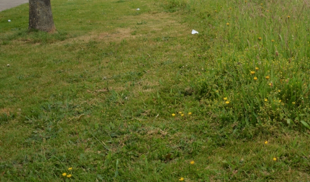 <p>Een gemaaide berm langs de Wethouder Rebellaan in Barneveld.</p>