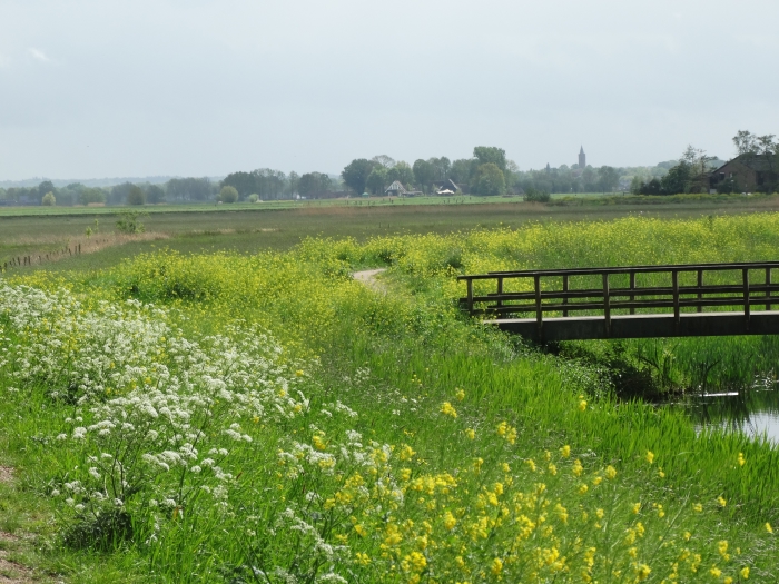Zicht op Soest in Eemerwaard