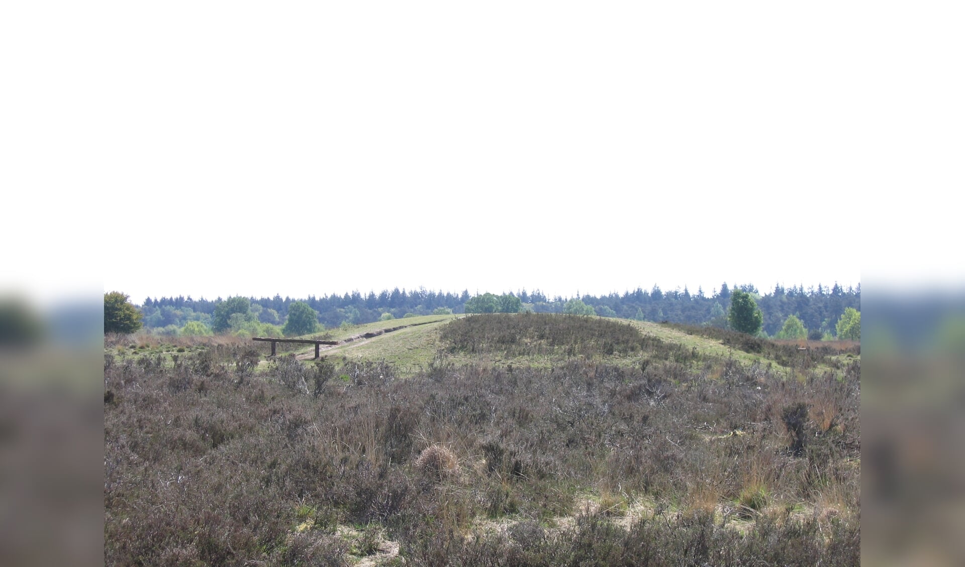 Een grafheuvel op de Ermelosche Heide