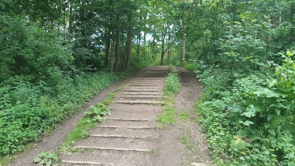 Het pad in het Amsterdamse Bos waar de valpartij plaatsvond.