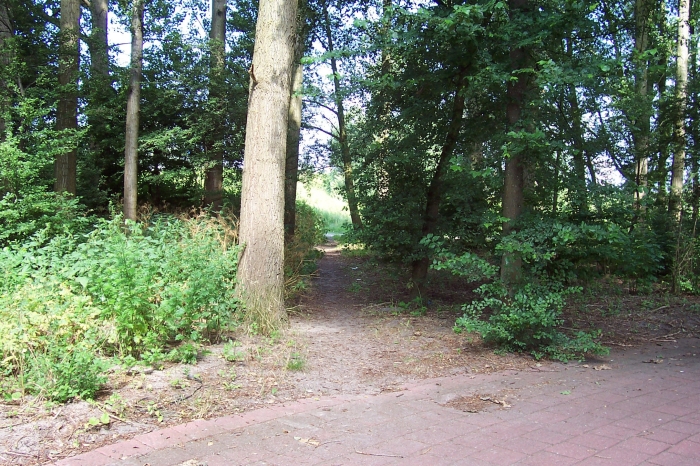 Olifanten-pad van Neptunus naar Entrada