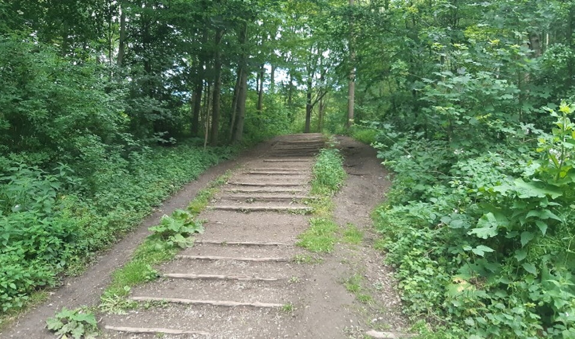 Het pad in het Amsterdamse Bos waar de valpartij plaatsvond.