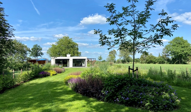 Overzichtsfoto tuin