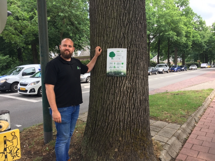 TreeTag op zomereik aan de Buzziburglaan