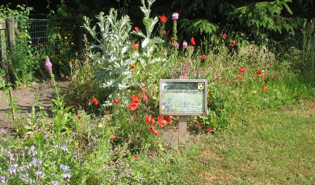 Bloemenveldjes voor bijen, initiatief van gemeente, Imkervereniging en Stichting Duurzaam Woudenberg.