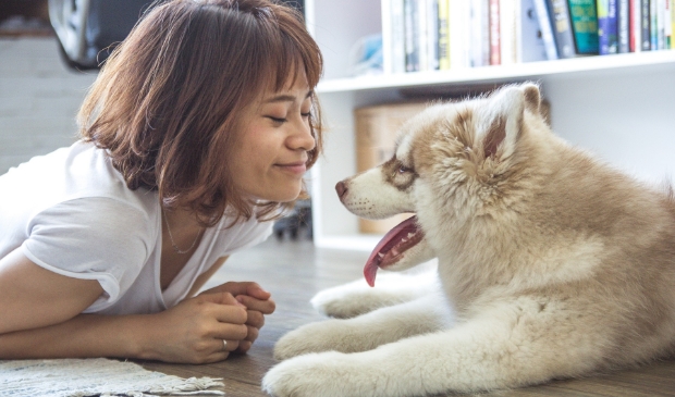 Geniet van het gezelschap van een hond