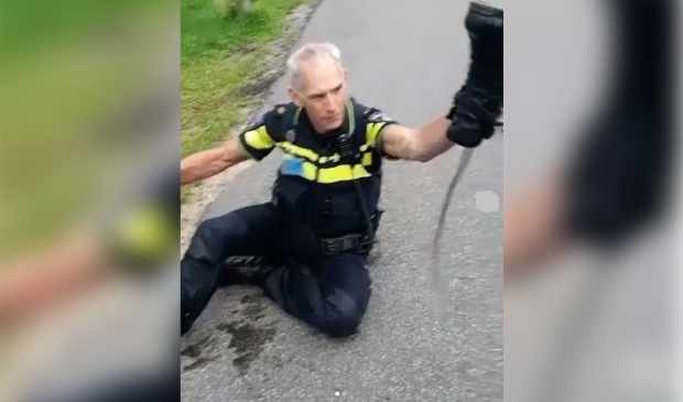 Het resultaat was een nat pak, maar de boef was gevangen