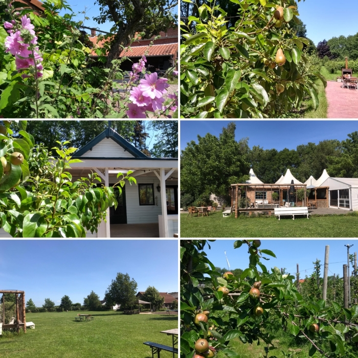 Boomgaarden en Tent met veld
