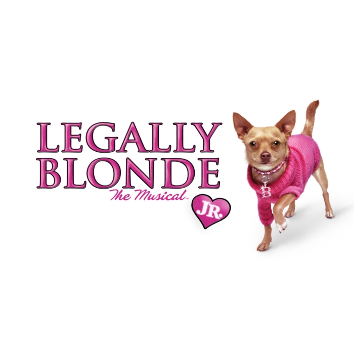 Legally Blonde jr in 2021 in De Meerse