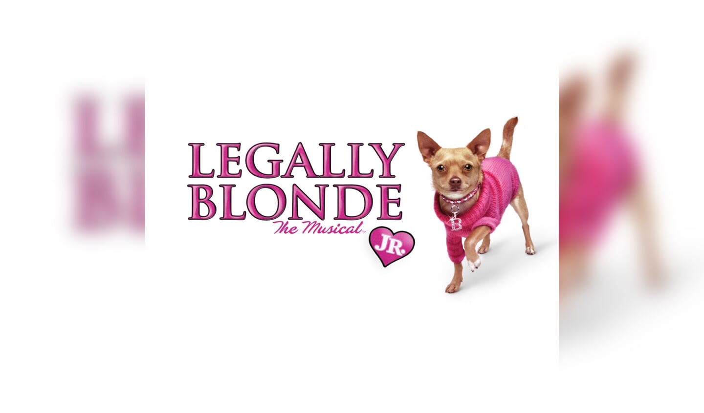Legally Blonde jr in 2021 in De Meerse
