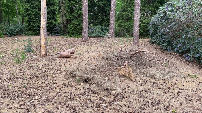 Heidetuin Driebergen-Rijsenburg